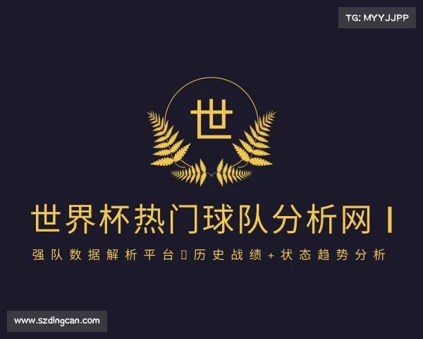 最新世界杯热门球队分析网 | 强队数据解析平台，历史战绩+状态趋势分析